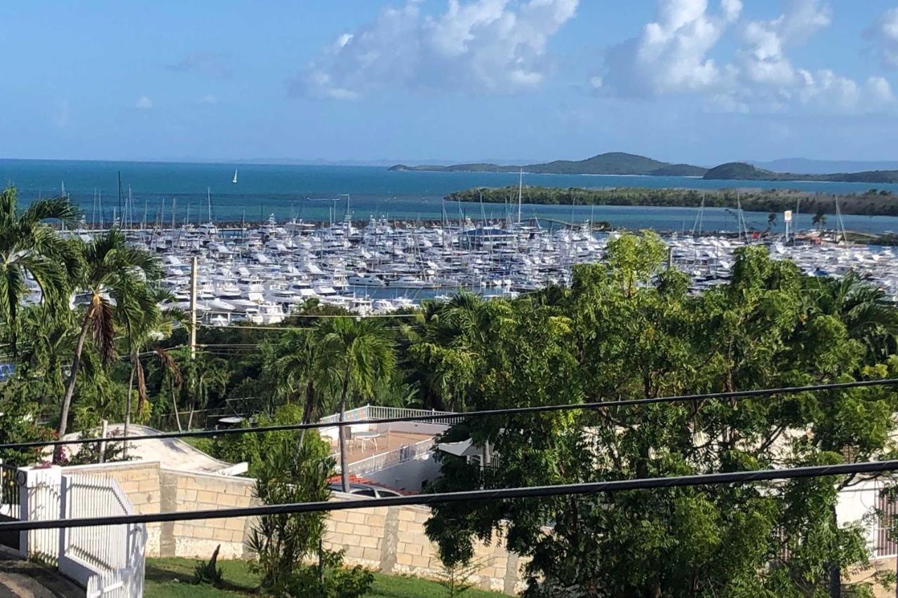 Peaceful Puerto Rico Paradise With Views And Balcony ファハルド エクステリア 写真